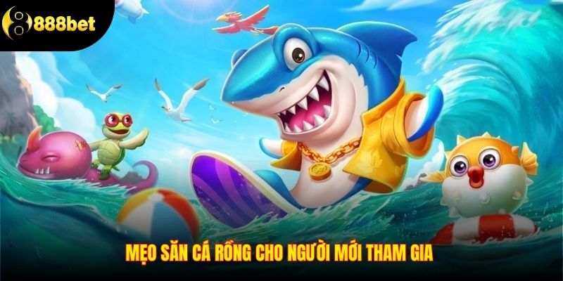 Mẹo săn cá rồng cho người mới tham gia